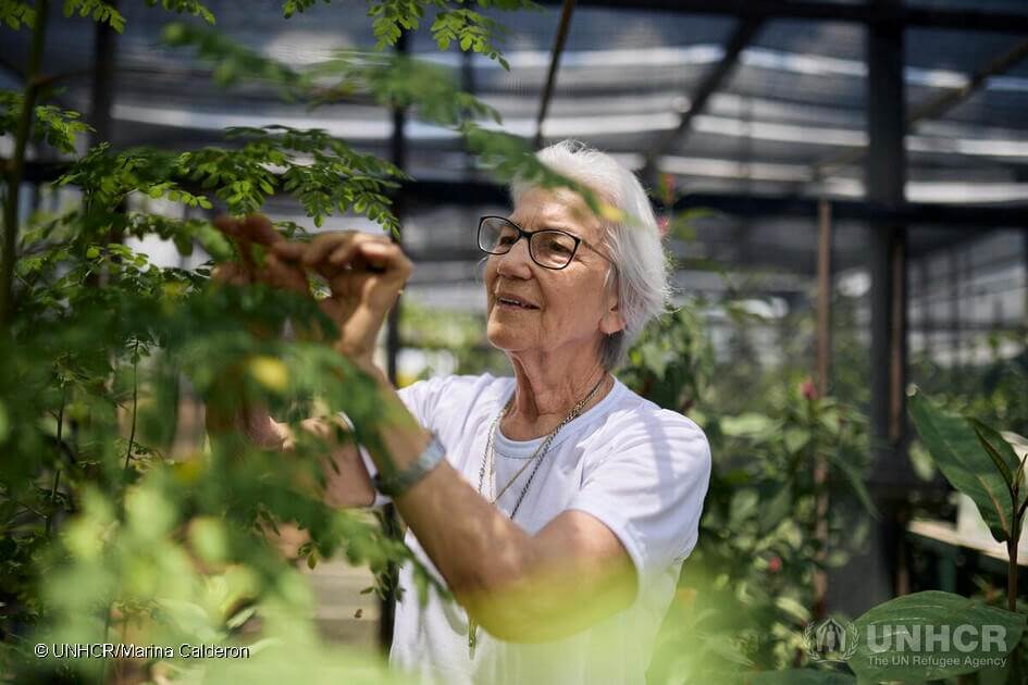 acnur la hermana rosita Milesi ganadora del remio Nansen de Acnur