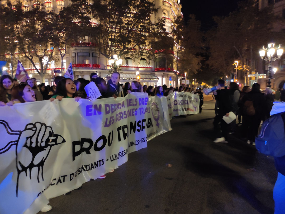 Manifestació feminista 25 N a Barcelona